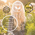 Golden Blonde Hair Dye