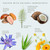 Prebiotic, Chamomile & Coconut Conditioner