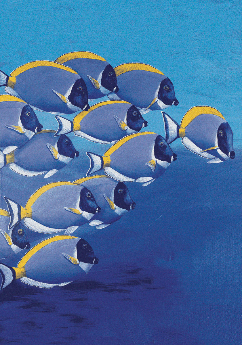 Nautical Area Rugs 4 x 5 Maldives Rug Bella Coastal Decor