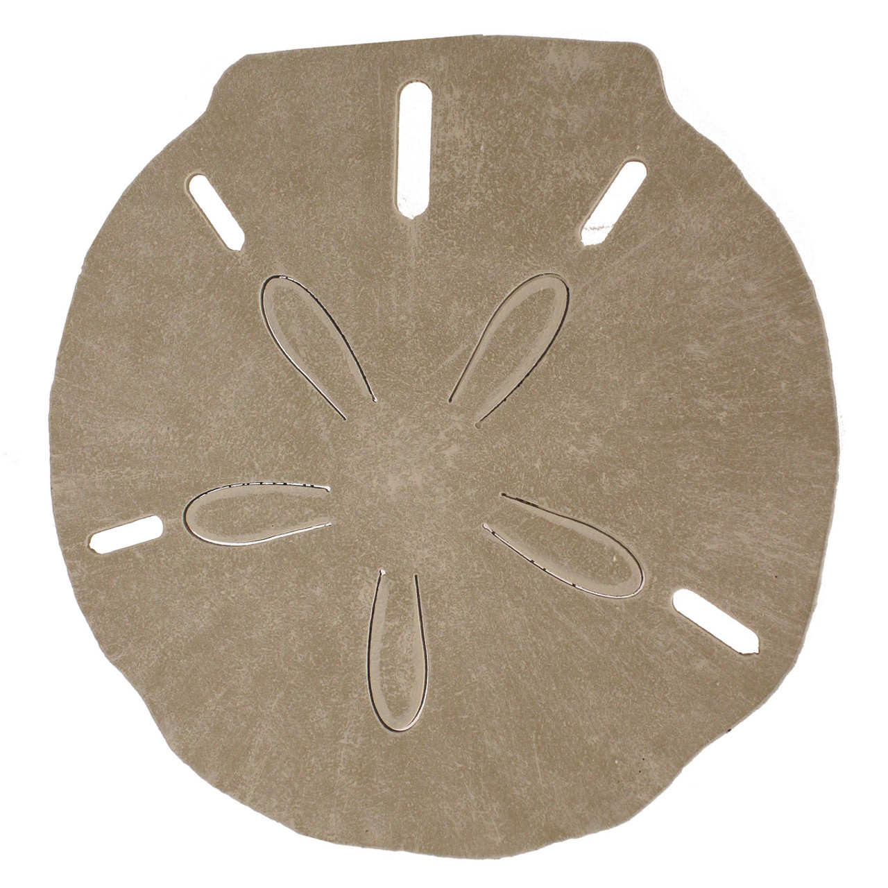 Coastal Tables Sand Dollar Drink Table Bella Coastal Decor