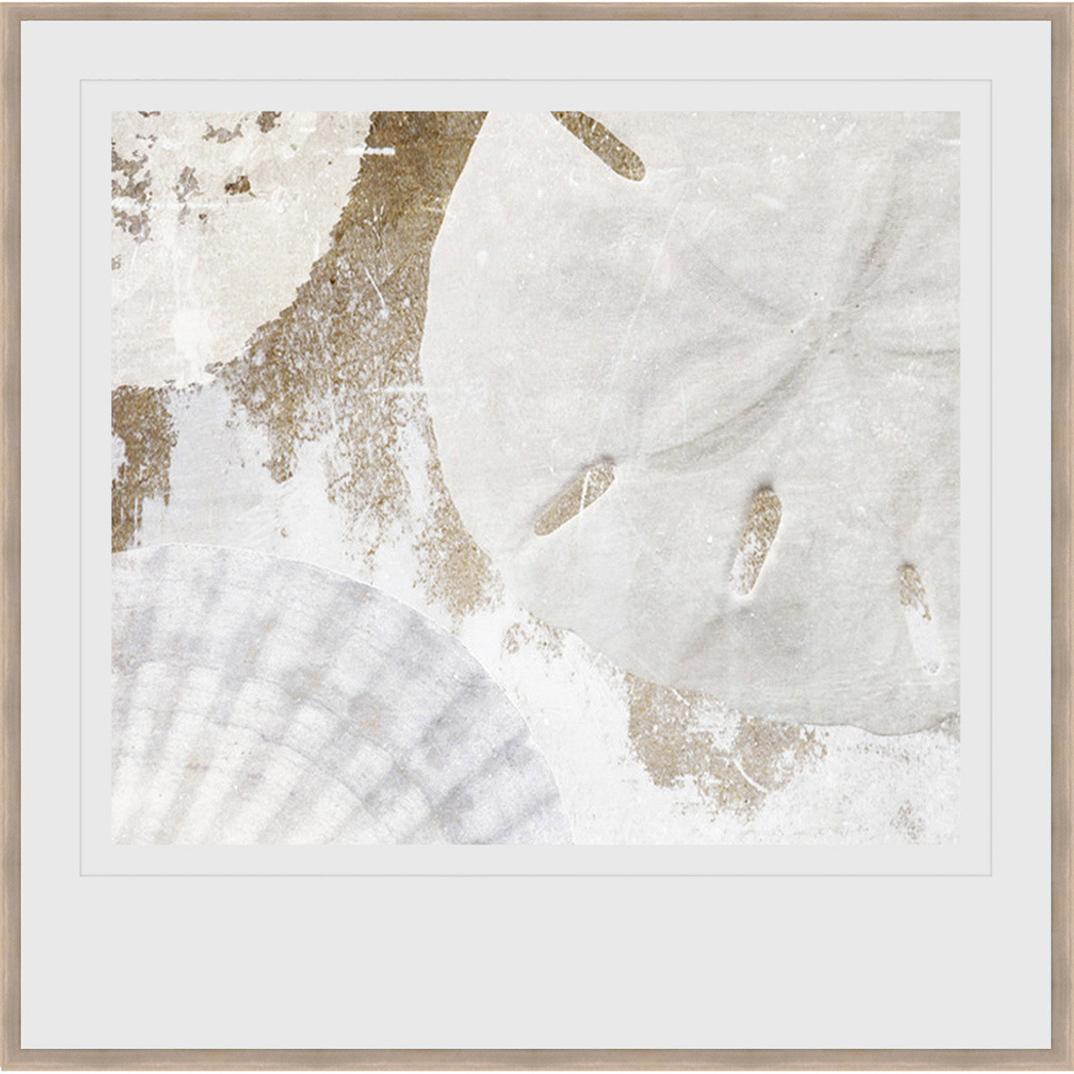 Seashell Medley Framed Print Bella Coastal Decor