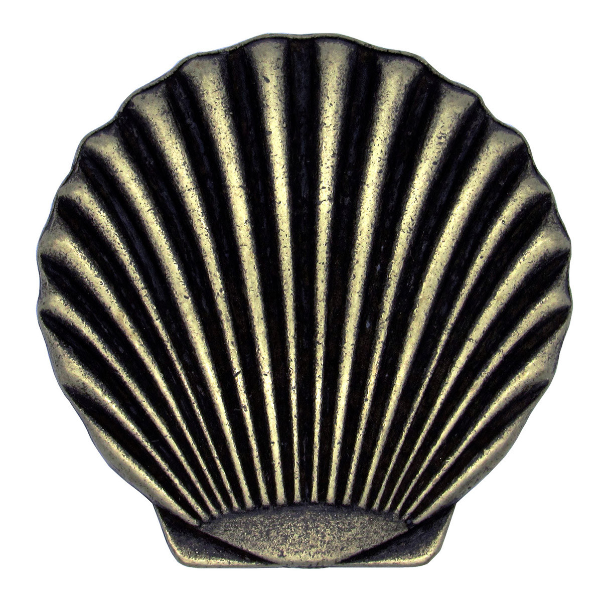 Scallop Shell Knob Bella Coastal Decor