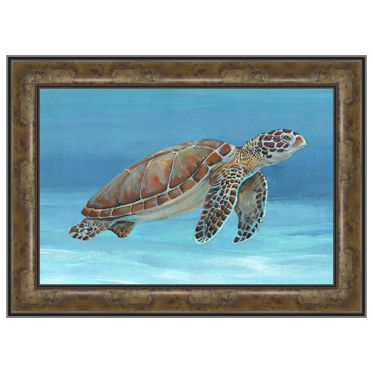 Ocean Sea Turtle I Maple Framed Print Bella Coastal Decor