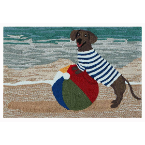 Hot Dawg Indoor/Outdoor Rug Collection