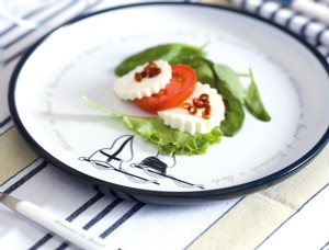 Nautical Welcome Dinnerware Collection