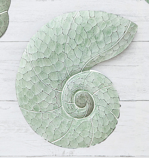 Sea Mist Coastal Nautilus Wood Wall Art