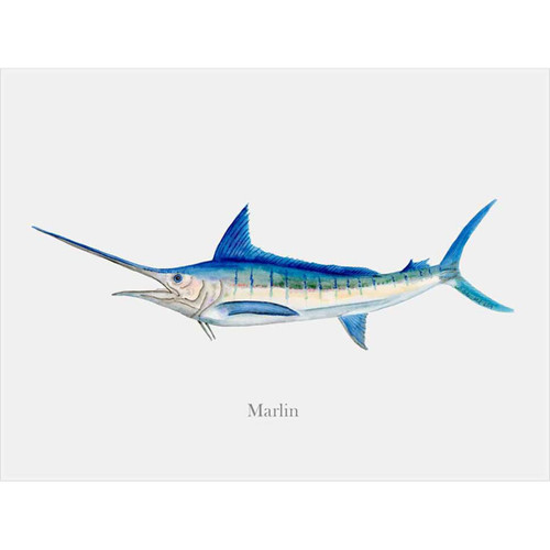 Marlin Profile Canvas Wall Art