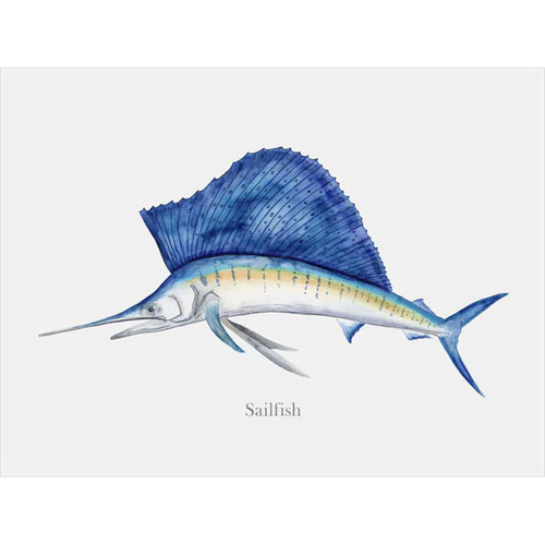 Sail Fish Profile Canvas Wall Art