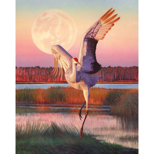 Moon Dancer II Limited Edition Print