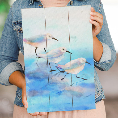 Shorebird Stroll Wall Art