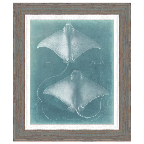 Morning Swim I Framed Print