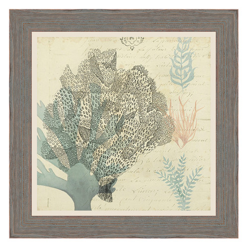 Sea Ephemera III Framed Print