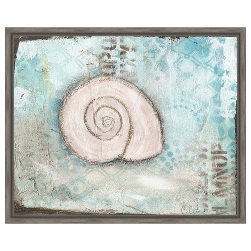 Seashell II Framed Canvas