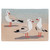 Seagull Beach Rug - 2 x 3 - OUT OF STOCK UNTIL 06/05/2024