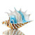 Art Glass Striped Conch Shell