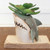 Ceramic Shark Planter - OUT OF STOCK UNTIL 08/13/2024