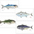 Atlantic Fish Placemats - Set of 4