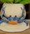 Blue Crab Bay Planter