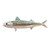 Single Mackerel Wall Art - OUT OF STOCK UNTIL 06/13/2024