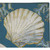 Shells Ahoy Outdoor Rug - 2 x 3