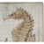 Seahorse Dream Outdoor Rug - 2 x 3