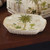 Palm Oasis Soap Dish