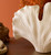 White Coral Sculpture Vase - OVERSTOCK