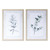 Framed Branch Wall Art - Set of 2