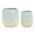 Pristine Leaf Pots - Set of 2