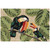 Toucan Tango Indoor/Outdoor Rug - 2 x 3