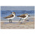 Waders Serenity Indoor/Outdoor Rug - 2 x 3 - OUT OF STOCK UNTIL 07/03/2024