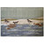 Bathing Sandpipers Rug - 3 x 4