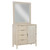 Luminous Reflections Door Chest with Mirror - OUT OF STOCK UNTIL 07/18/2024