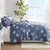 Coastal Breeze Reversible Quilt Set - Full/Queen