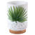 Paradise Palms Tumbler