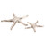 Seaside Serenity Starfish - Set of 2