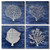 Coral Reefs Majesty Wall Art - Set of 4