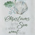 Christmas Sea Breeze Dishtowel - Set of 4