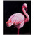 Flamingo 2 Print