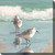 Sea Bird Couple Canvas Art