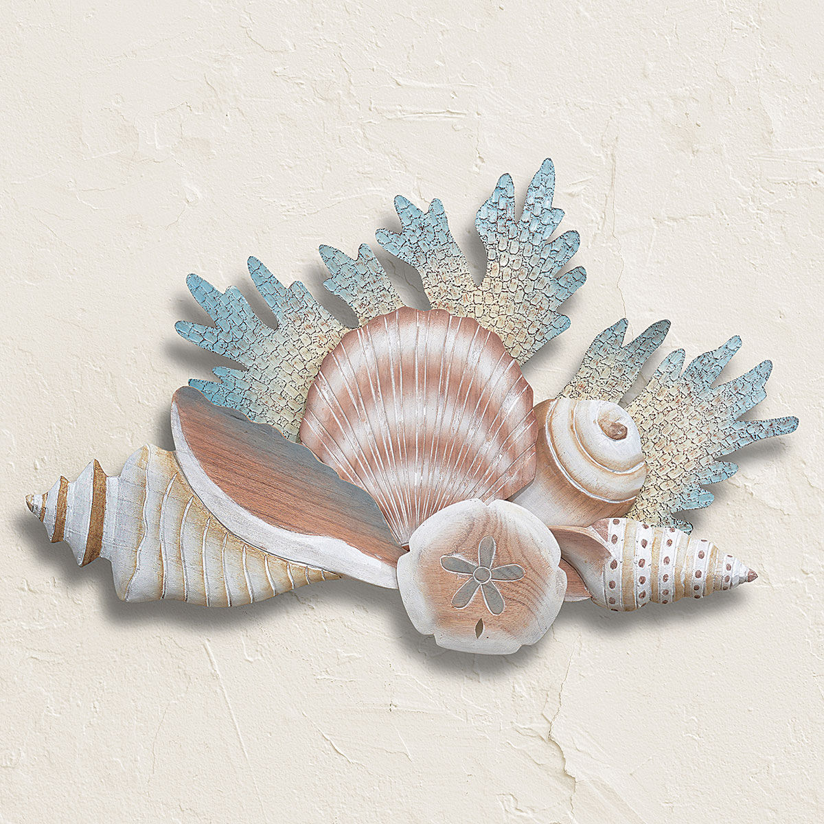 Decorative Seashells - Buy Decorative Seashells Online Starting at