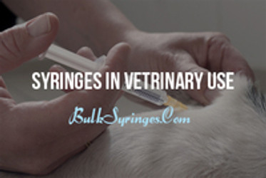 Syringes In Vetrinary Use Syringes In Vetrinary Use