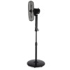 Black+Decker 16 Inch Pedestal Fan with 2 Hour Timer Black