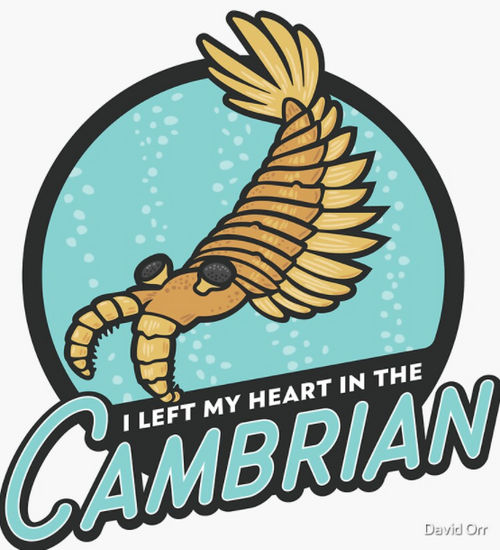 I left my heart in the Cambrian sticker