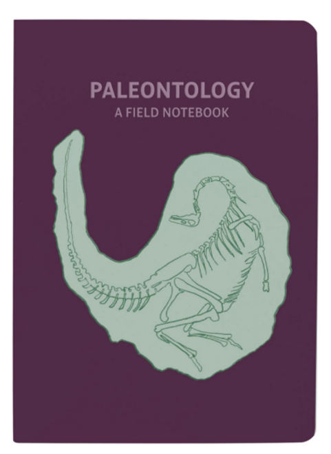 Paleontology notebook