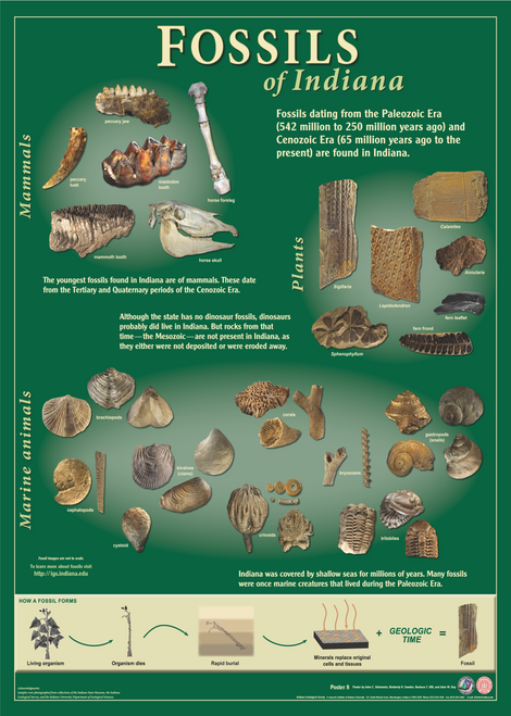 Indiana Geology posters