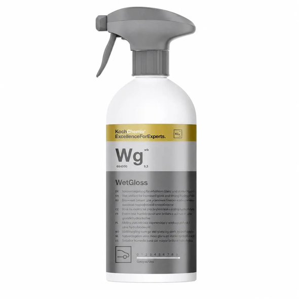Wet Gloss 500ml