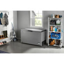 Maytag® 16 Cu. Ft. Garage Ready Chest Freezer with Freezer-to-Fridge Convertibility MZCC4316TG