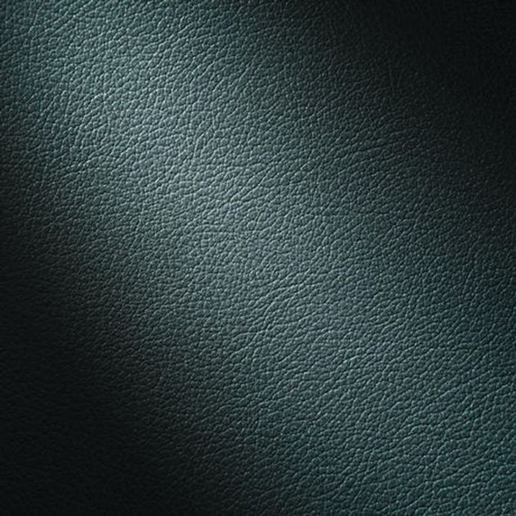 Jennair® 30" Mystic Limited Edition Cuts Leather Panel MYSTIC30