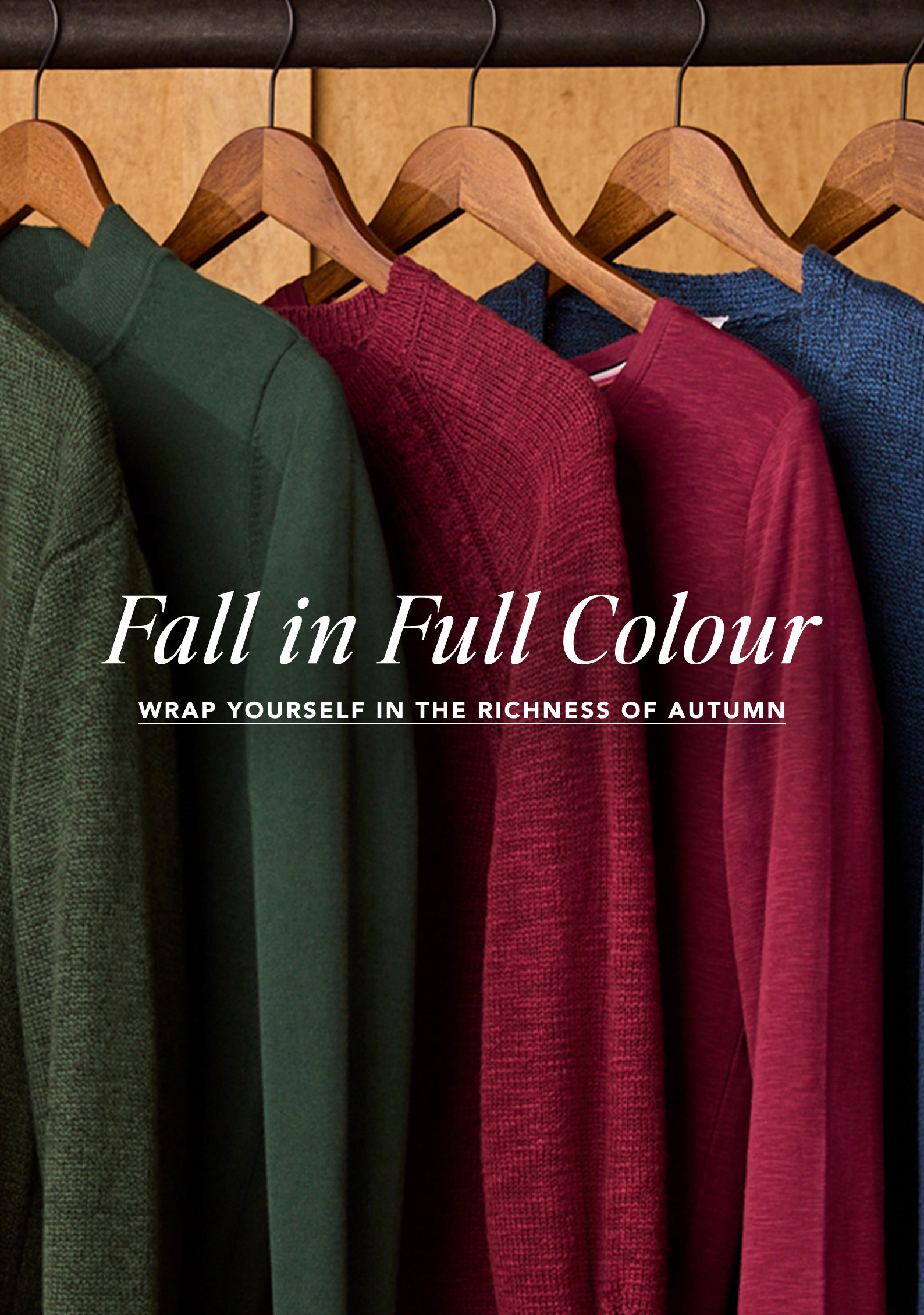 Fall In Full Colour